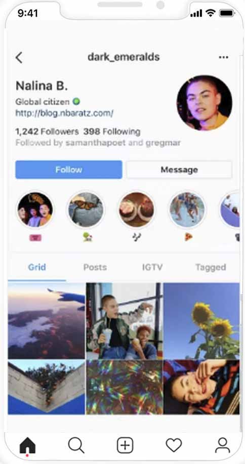 Instagram spy app for iOS
